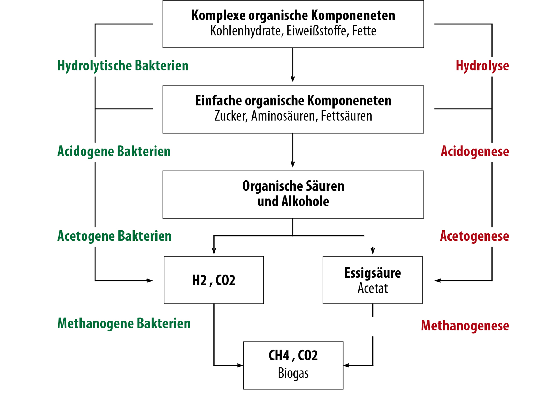 Conversione del substrato di fermentazione in biogas