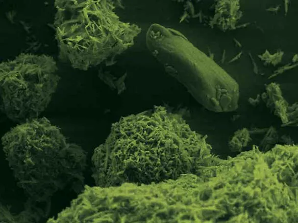 BC.MAGXX - Non ancora verificato