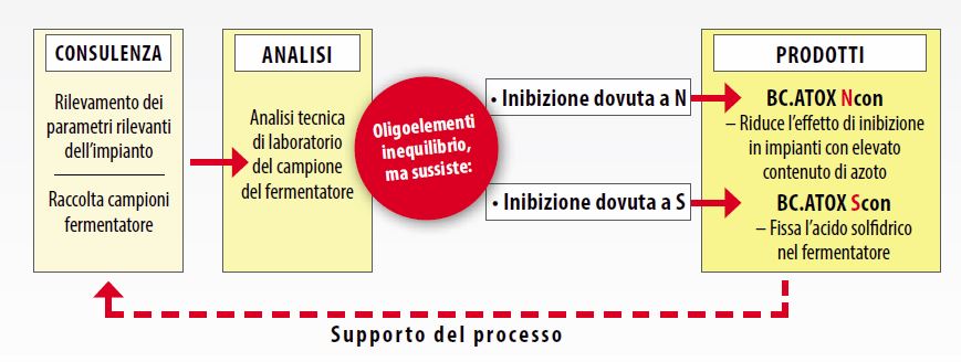 it_Grafik_BC_Atox_Ncon_Scon