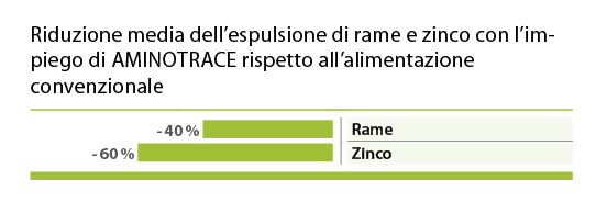 Reduktion von Kupfer und Zink