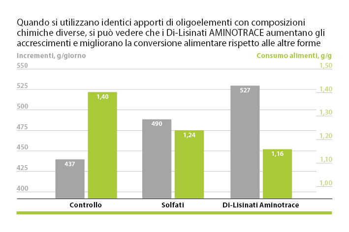AMINOTRACE aumenta l'aumento