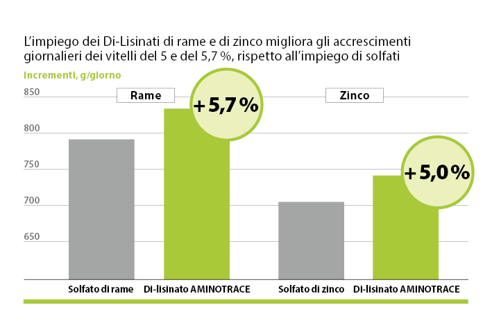 AMINOTRACE per bovini