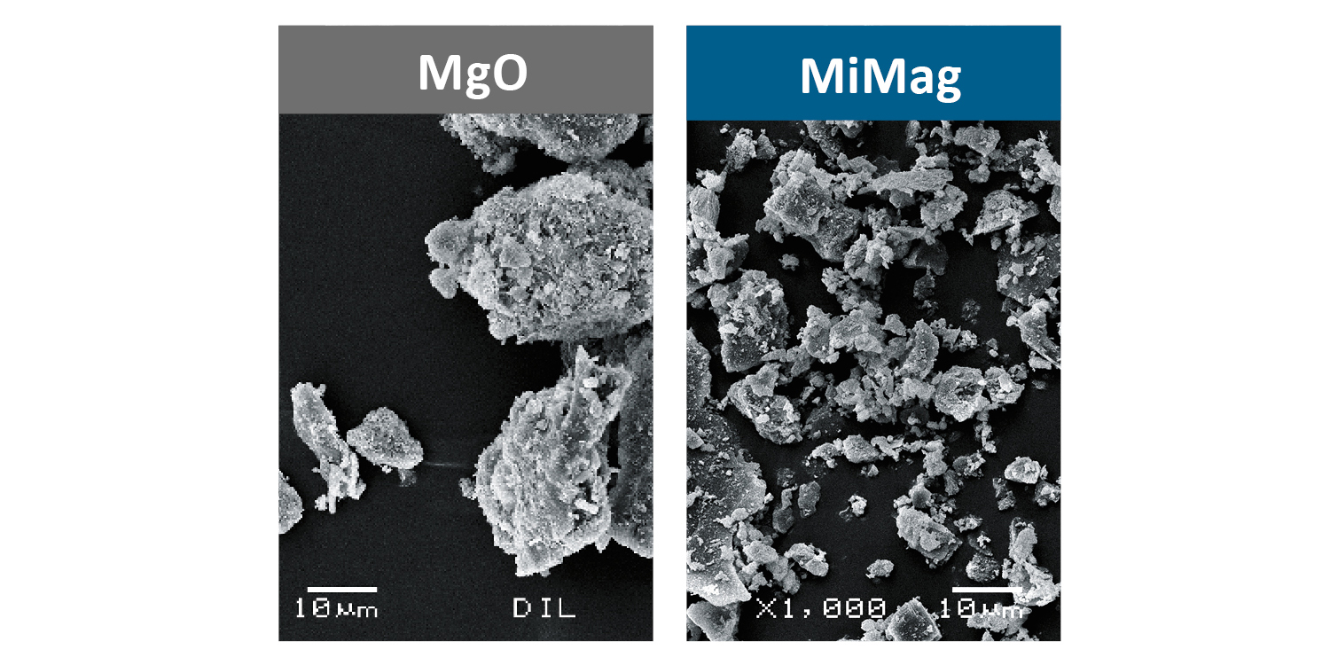 Immagine di magnesio e del MiMag