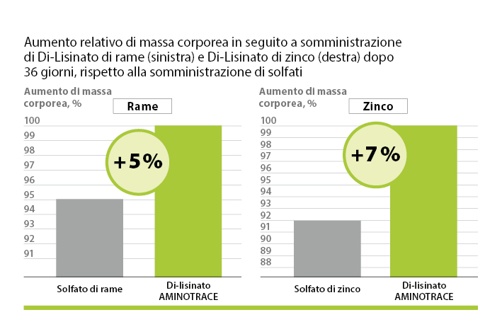 AMINOTRACE degli avicoli