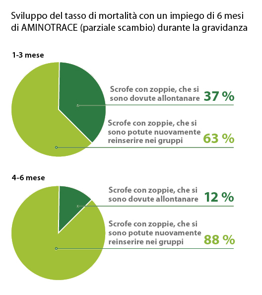 AMINOTRACE